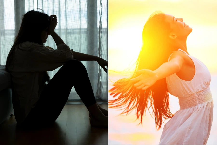 D3_&_K2_adv_img_9.webp__PID:c3f2b701-1761-42ca-9ce0-d4ac8d11f428